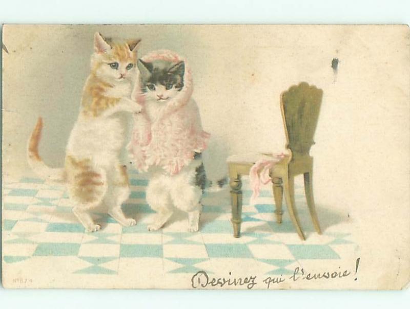 foreign 1903 Postcard HUMANIZED KITTEN CATS WEARING SHAWL AC3576