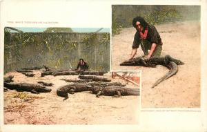 c1903 Postcard Native American White Tiger & His Alligators Detroit Photographic
