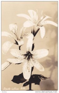 RP; Shasta Lillies, PU-1945