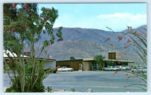 BORREGO SPRINGS, California CA ~ BUSINESS CENTER San Diego County 1960s Postcard