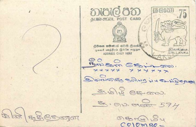 Entier Postal Stationery Postal Sri Lanka Ceylon Lion