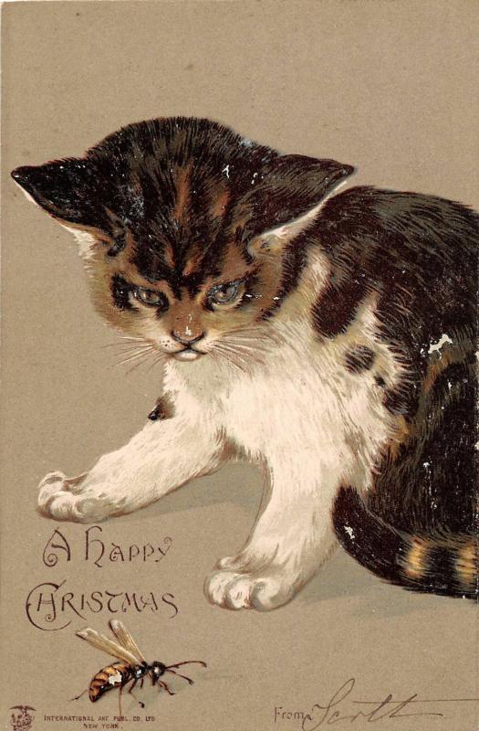 F14/ Cat Animal Postcard c1910 Embossed Christmas Insect 8