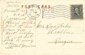 Prescott Arizona Panorama The Mountain City 1908 postcard