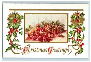 c. 1910 Christmas Dogs Pugs Embossed Holly Postcard P42 