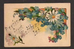 IN Greetings from MATTHEWS INDIANA Postcard PC Daisies