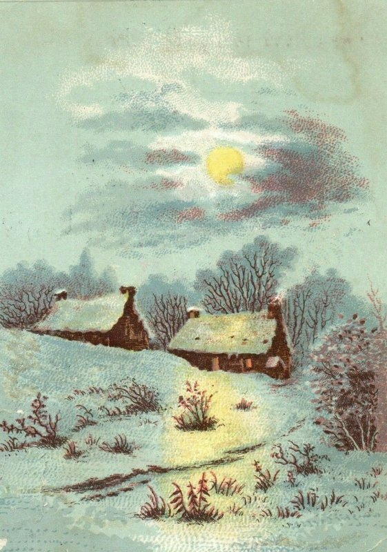 Victorian Christmas Trade Card J.B Wells Son & Co Winter Snow Mica Glitter W1