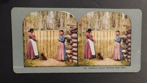 Mint Stereo Postcard Native Americans Chippewa Squaws Braiding Rush Mats Indian