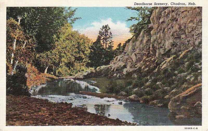 Postcard Deadhorse Scenery Chadron Nebraska