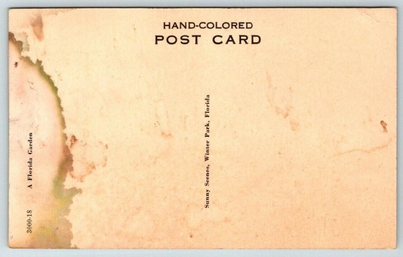 Hand Colored Sunny Scenes  Winter Park  Florida   Postcard