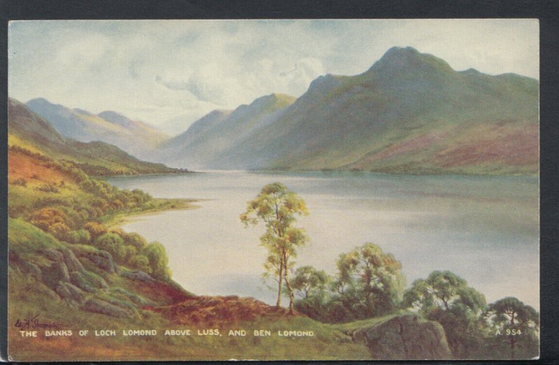 Scotland Postcard - The Banks of Loch Lomond Above Luss & Ben Lomond RS16672