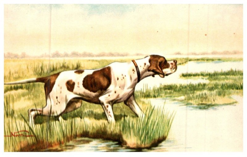 Dog ,   Springer Spaniel on Point , artist signed