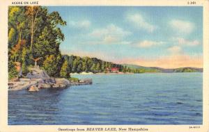 Beaver Lake New Hampshire Scenic Waterfront Greeting Antique Postcard K93819