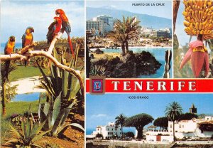 BT16773 Tenerife multi views  spain