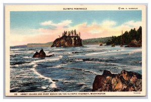 Abbey Island Ruby Beach Olympic Peninsula Washington WA UNP Linen Postcard H30