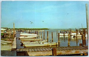 M-94013 Few of the fishing boats at Cortez Florida