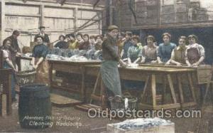 Aberdeen Fishing IndustryWoman Working, Aberdeen Fishing Industry, Cleaning H...