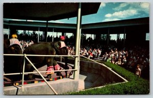 St. Louis  Missouri  Forest Park  Elephant Show  Postcard