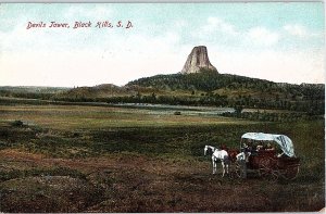 Postcard TOWER SCENE Black Hills South Dakota SD AI3029