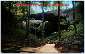 Postcard - Natural Bridge of Alabama