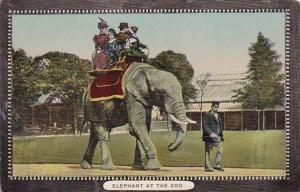 Elephants Riding The Elephant At The Zoo