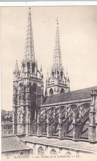 France Bayonne Les Fleches de la Cathedrale