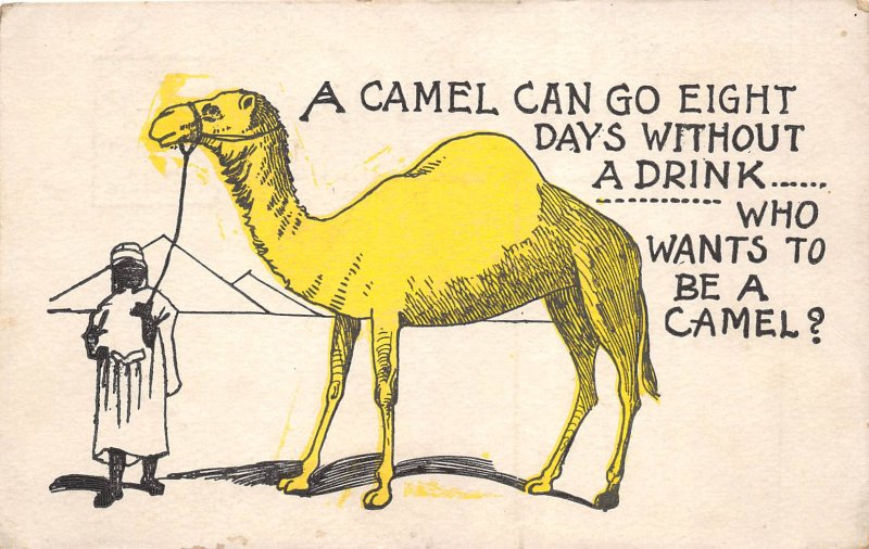 Camel 1907 Comic Humor Postcard Eight Days Without A Drink 