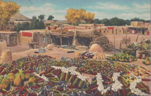 Postcard Harvest Time Santa Clara Indian Pueblo New Mexico