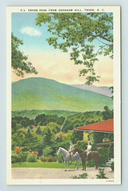 Tryon Peak Godshaw Hill Horseback Riding Mountain North Carolina NC Postcard