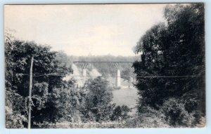 ASHTABULA, Ohio OH ~ NICKEL PLATE BRIDGE from Fargo Park c1900s UDB Postcard