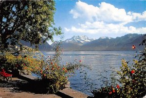 Lake of Geneva and the Dents du Midi Switzerland 1967 