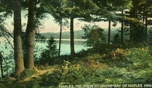 Postcard Antique View of Grove Bay at Naples Inn, Naples, ME.            P5