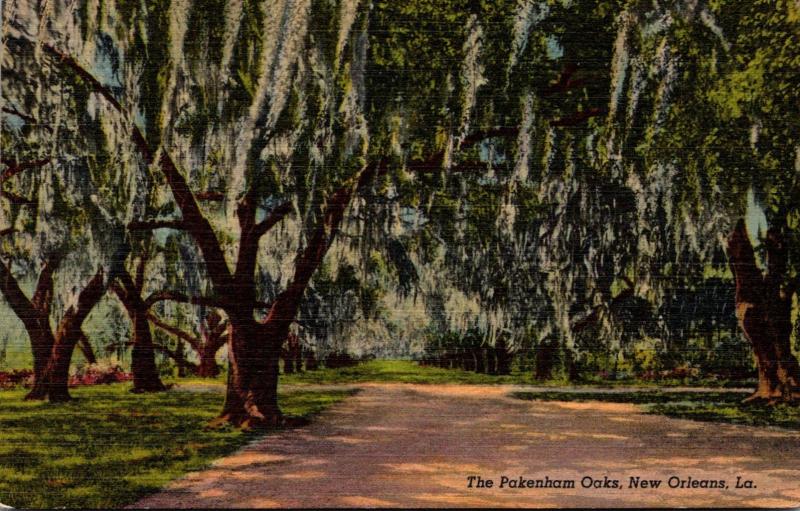 Louisiana New Orleans The Pakenham Oaks Curteich