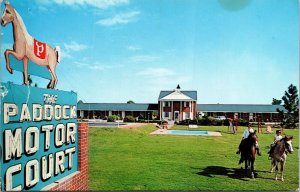 Paddock Motor Court Restaurant Manning South Carolina Swimming Pool Postcard 
