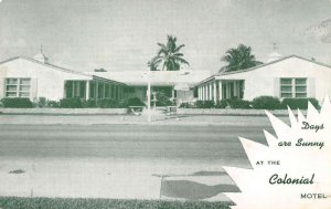 Hollywood Florida view from street the Colonial Motel vintage pc DD5153