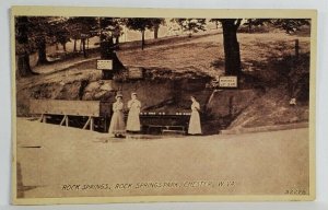 WV Chester Rock Springs Park, Women at Springs Water Trough c1911 Postcard T6