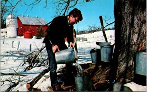 Vermont - Hickin's Mountain Farm - Maple Sugar Time - [VT-177]