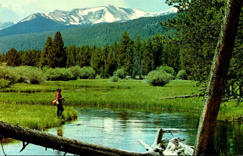 Montana Miner's Creek Near Jackson Fishing Scene