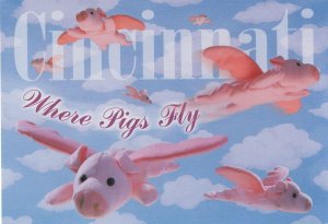 Cincinnati Where Pigs Can Fly USA Flying Pig Postcard