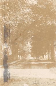 Parker Street Scene~Tall Trees Along Sidewalk~RPPC 1906 Winchester New Hampshire