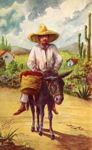 Mexico - Mexican man on donkey