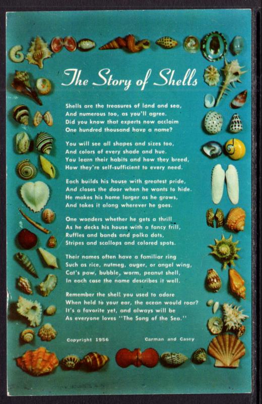 The Story of Shells,Seashells BIN