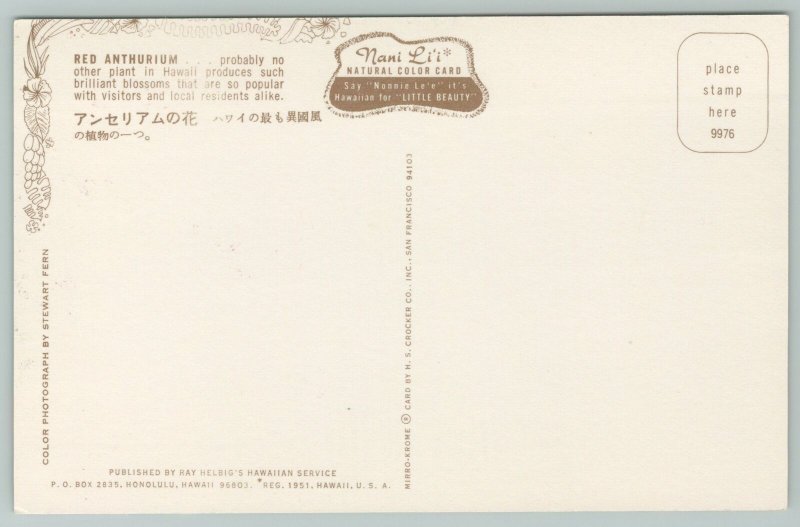 Hawaii~Red Anthurium~Vintage Postcard