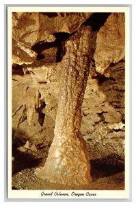 Grand Column Oregon Caves National Monument Cave Junction UNP Chrome Postcard Z4