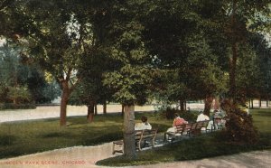 Vintage Postcard 1908 Lincoln Park Scene Public Recreational Chicago Illinois IL