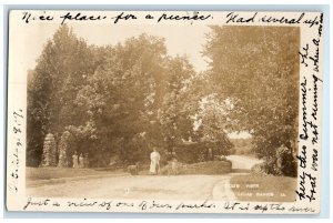 c1910's View Of Ellis Park Cedar Rapids Iowa IA RPPC Photo Antique Postcard