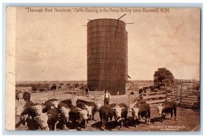 c1940s Thorough-Bred Herefords Cattle Raising Pecos Valley Roswell NM Postcard