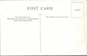 Norfolk Postcard - Birds on Horsey Mere, Norfolk Broads  SW17810