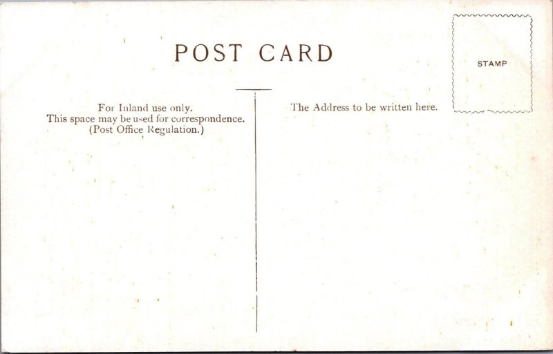 Norfolk Postcard - Birds on Horsey Mere, Norfolk Broads  SW17810