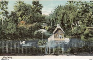 MADEIRA , Portugal , 00-10s ; Swan pond