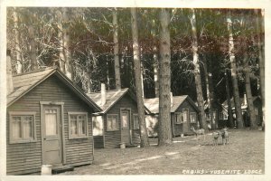 Postcard RPPC California Yosemite NP Cabins Lodge occupation roadside 23-8972